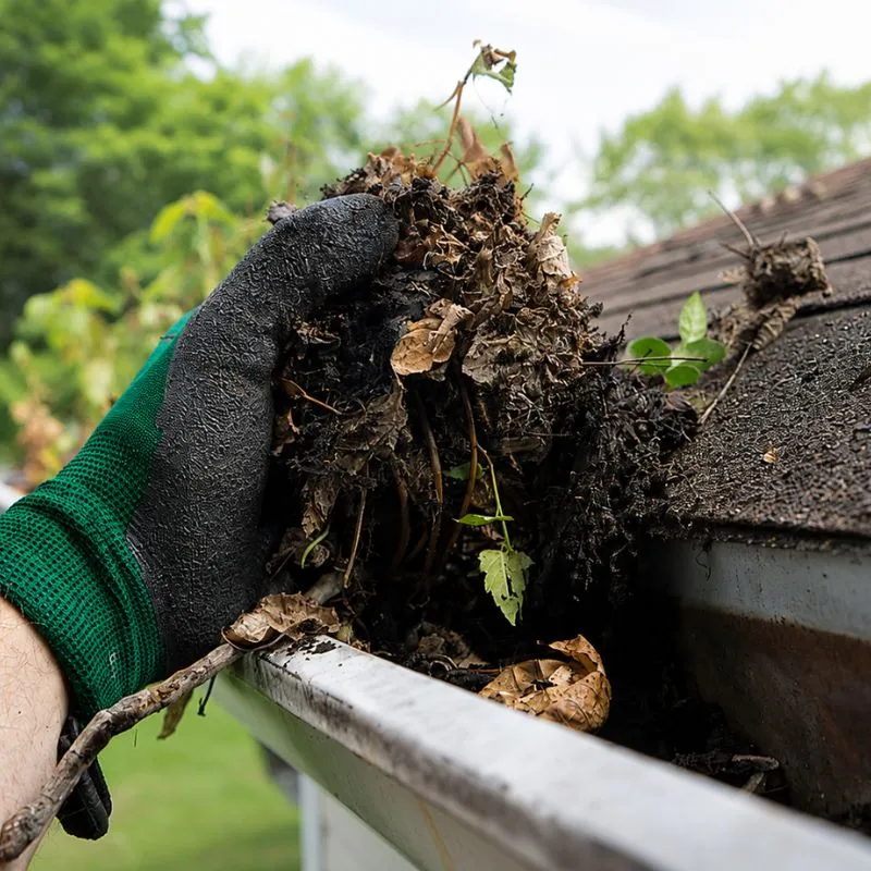 Gutter cleaning service Rhode Island fall leaves